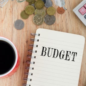 How To Get Money Savvy Step 10 - Budgeting